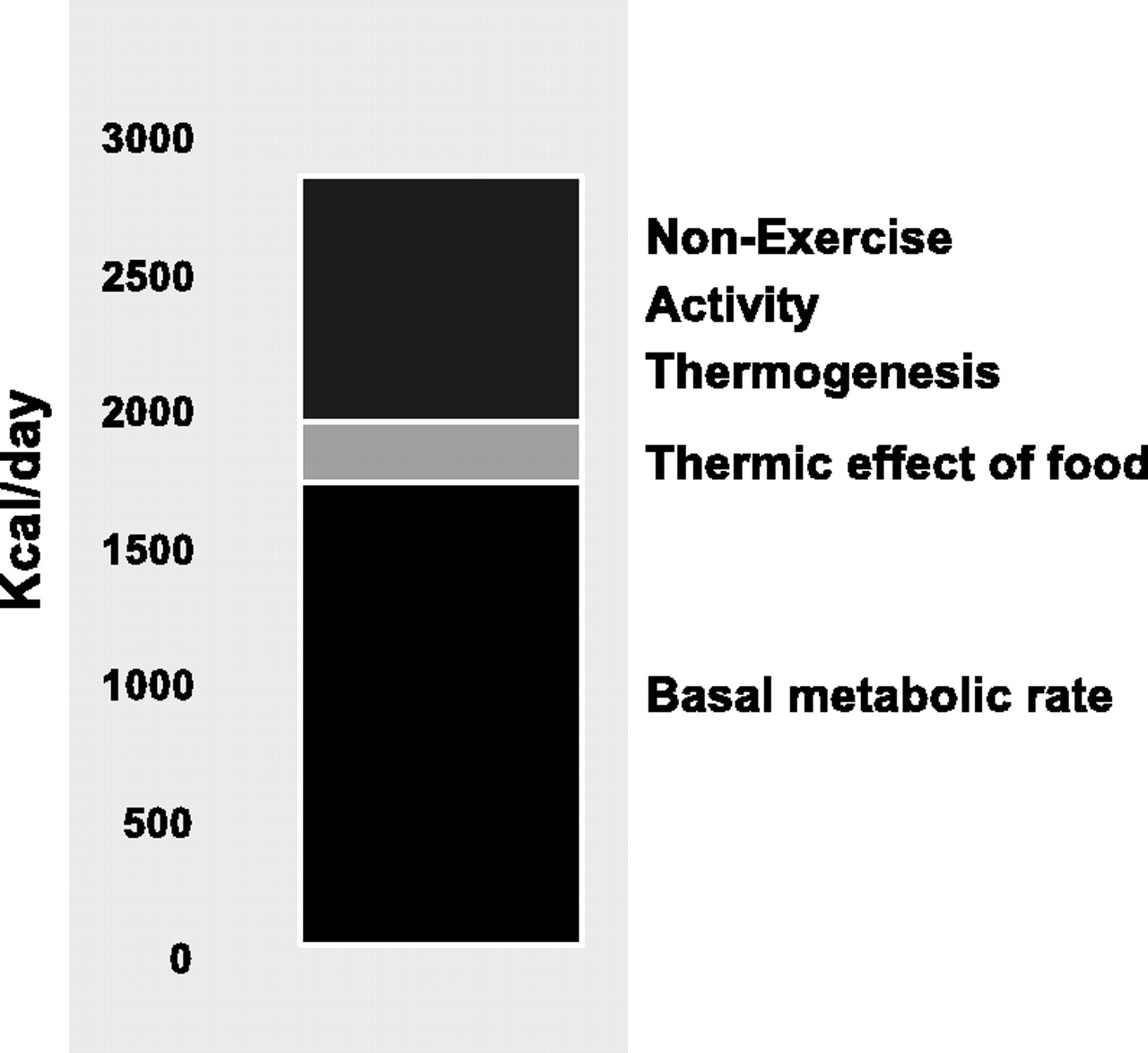 NEAT (non-exercise activity thermogenesis)